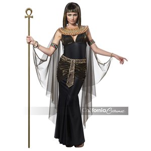 Adult Cleopatra costume