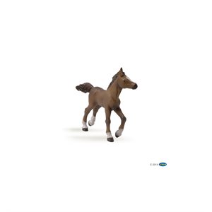 Papo Anglo-Arab foal figurine 11x2x9cm