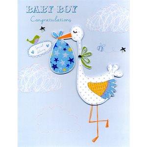 Giant greeting card baby boy congratulations, special delivery